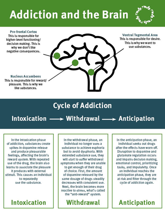 What Causes Addiction In The Brain