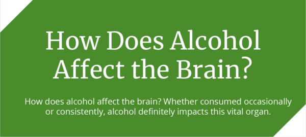 How Does Alcohol Affect the Brain? Our Infographic Has the Answers