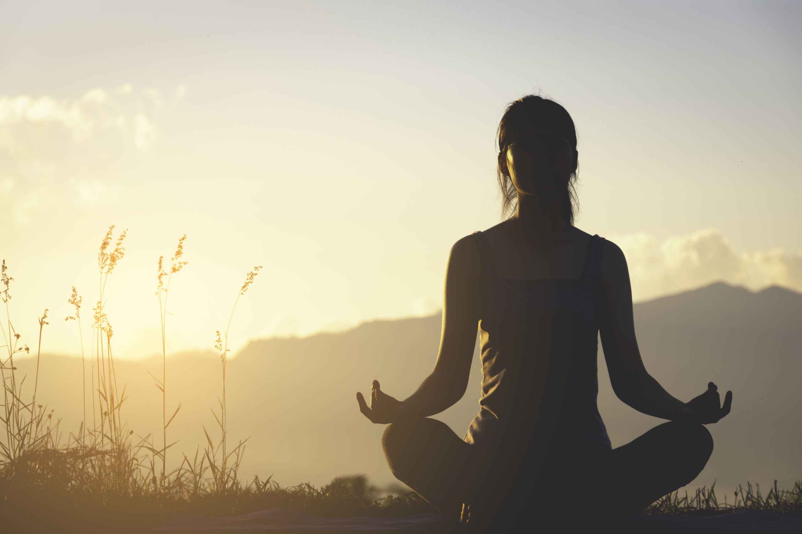 The Power of Meditation - Mindful Directory