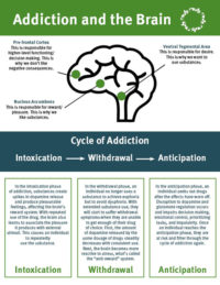 How Does Addiction Affect the Brain? | Ashley Treatment